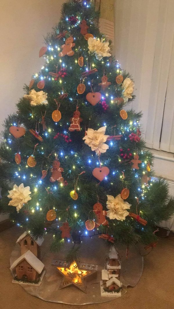 Premium Lodgepole Pine Bolton Christmas Trees